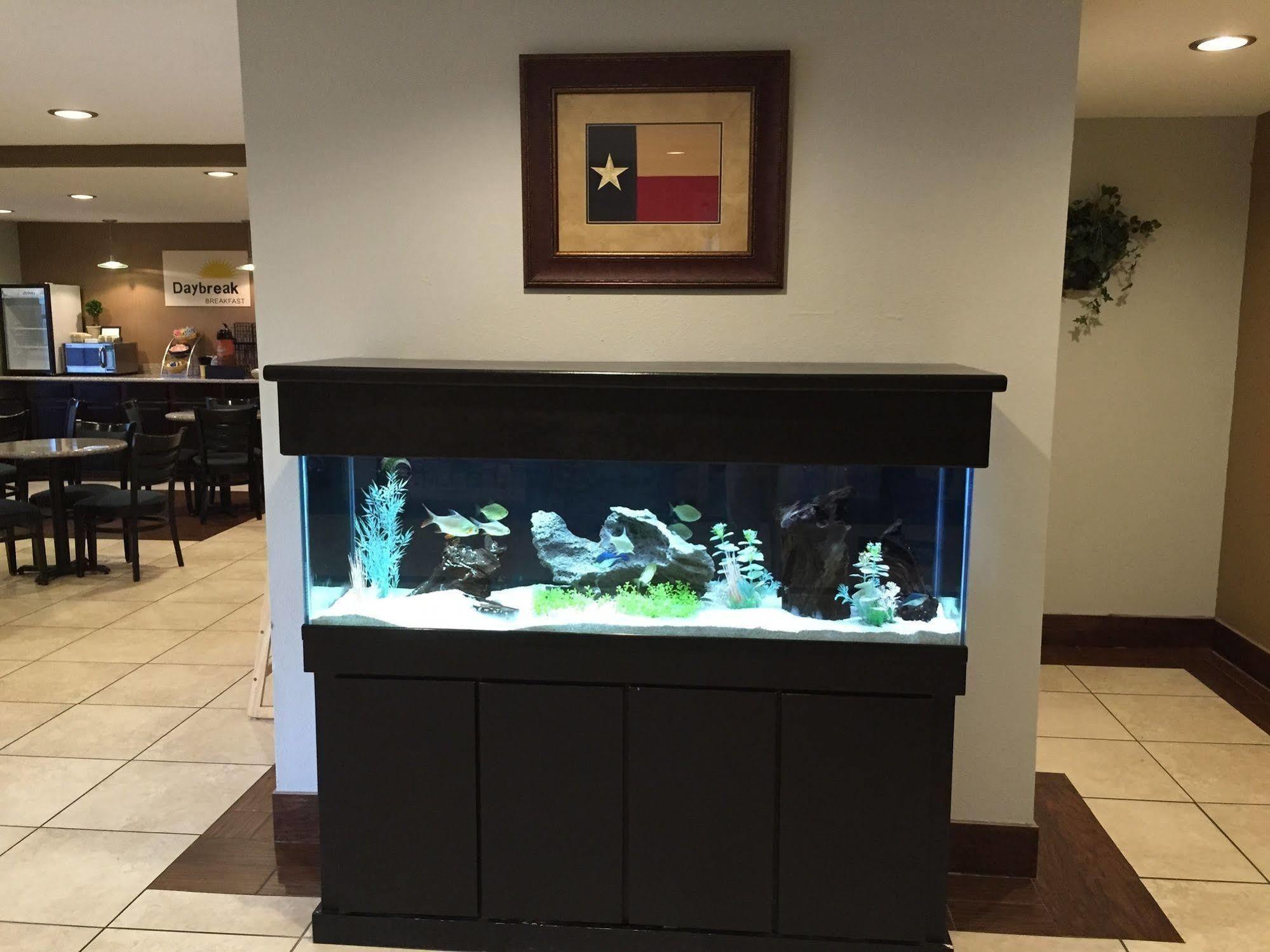 Days Inn By Wyndham New Braunfels Extérieur photo